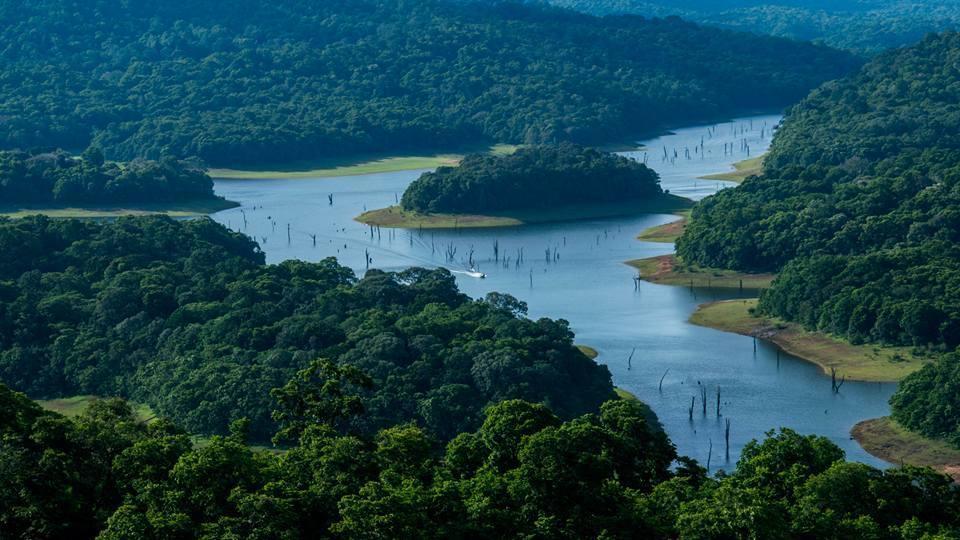 Green Leaf Home Stay Thekkady Eksteriør billede
