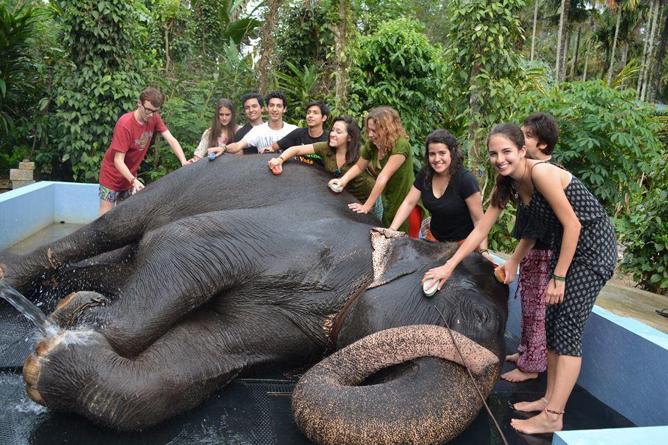 Green Leaf Home Stay Thekkady Eksteriør billede