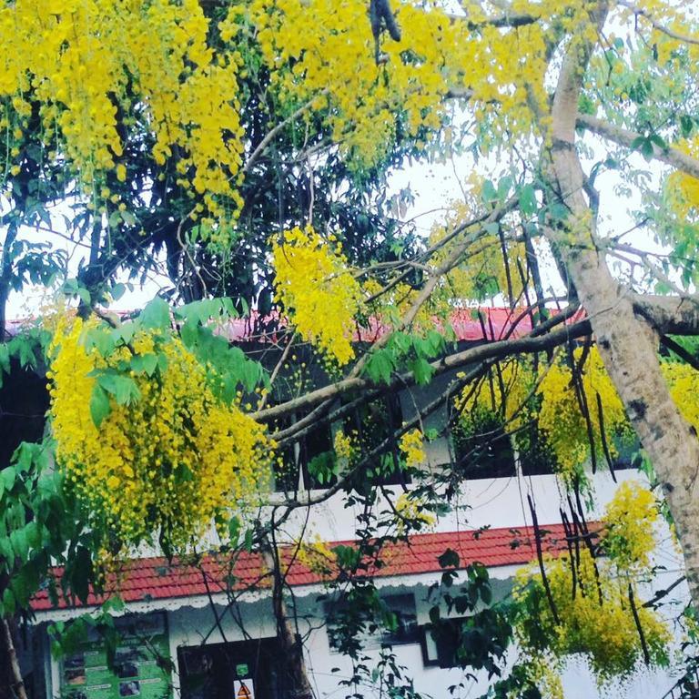 Green Leaf Home Stay Thekkady Eksteriør billede