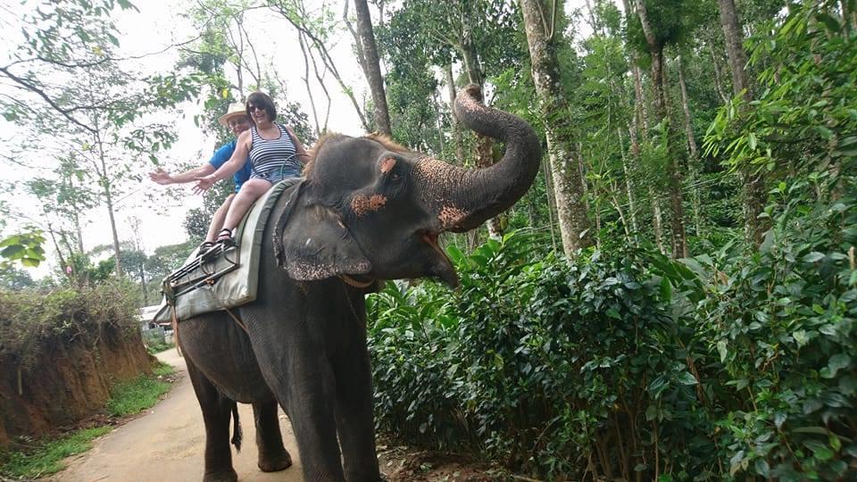 Green Leaf Home Stay Thekkady Eksteriør billede